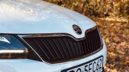 Skoda Rapid Spaceback 1.0 TSI 95 KM - galeria redakcyjna