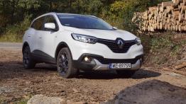 Renault Kadjar 1.6 dCi 130KM X-Tronic S-Edition - galeria redakcyjna - widok z przodu