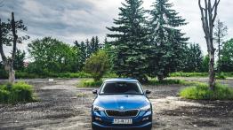 Skoda Scala 1.0 TSI 115 KM - galeria redakcyjna - widok z przodu