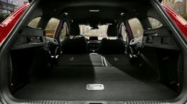 Ford Focus ST kombi (2019) - baga?nik, tylna kanapa z?o?ona