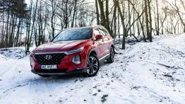 Hyundai Santa Fe 2.0 CRDI 185 KM - galeria redakcyjna - widok z przodu