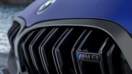 BMW M8 Coupe - grill