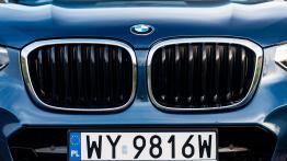 BMW X3 20d 190 KM - galeria redakcyjna