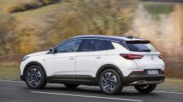 Opel Grandland X Ultimate (2018)  - lewy bok