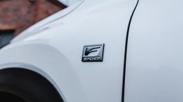 Lexus NX 300 - galeria redakcyjna (3)