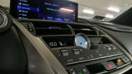 Lexus NX 300 - galeria redakcyjna (1)