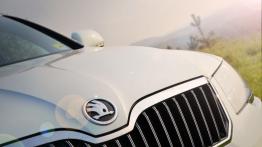 Skoda Superb II Outdoor 2.0 TDI CR - galeria redakcyjna - logo