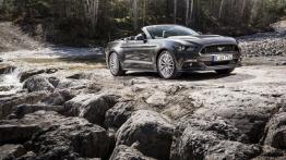 Ford Mustang VI Cabrio GT (2015) - wersja europejska - widok z przodu