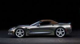 Chevrolet Corvette C7 Stingray Cabrio (2014) - lewy bok