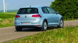 Volkswagen Golf VII TDI BlueMotion (2013) - widok z tyłu