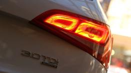 Audi Q5 w Nowej Zelandii - część 4 - galeria redakcyjna - inne zdjęcie