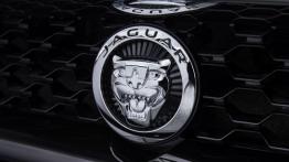 Jaguar F-Type V6 Satellite Grey - logo