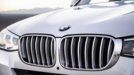 BMW X3 F25 Facelifting (2014) - grill