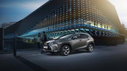 Lexus NX 200t (2014) - lewy bok