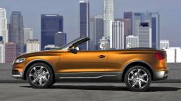 Audi Cross Cabrio Quatrro Concept - lewy bok