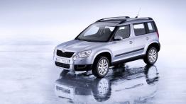 Skoda Yeti 2011 - widok z przodu