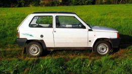 Fiat Panda 750 - prawy bok