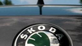 Skoda Superb 2.8 V6 Tiptronic - galeria redakcyjna - logo