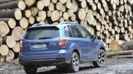 Subaru Forester IV - wersja europejska - widok z tyłu