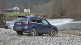 Subaru Forester IV - wersja europejska - widok z tyłu