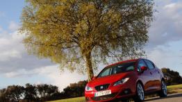 Seat Ibiza 2008 - widok z przodu