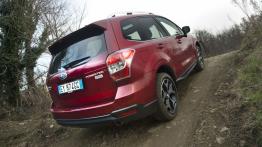Subaru Forester IV - wersja europejska - widok z tyłu