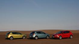 Seat Ibiza 2008 - prawy bok