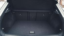 Volkswagen T-Roc – sport w modnym wydaniu