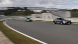 Mercedes-AMG GT R – spragniony okrążeń