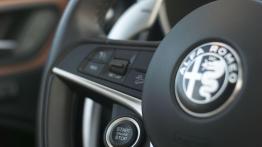 Alfa Romeo Stelvio - rodzinny bolid