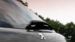 Peugeot 207 - na podbój rynku?