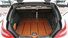 Mercedes-Benz CLS Shooting Brake - szukając fanfar