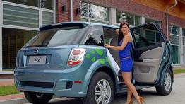 BYD e6 - sukces możliwy?