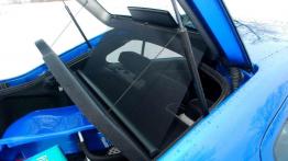 Octavia RS z pieluchą w tle