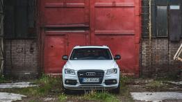 Audi SQ5 - galeria redakcyjna