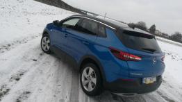 Opel Grandland X 2.0 CDTI 177 KM - galeria redakcyjna