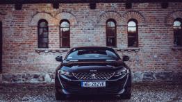 Peugeot 508 - galeria redakcyjna - widok z przodu