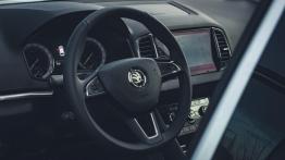 Skoda Karoq - galeria redakcyjna