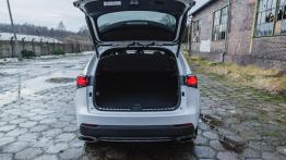 Lexus NX 300 - galeria redakcyjna (3) - ty? - baga?nik otwarty