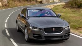 Jaguar XE 2.0d Ammonite Grey (2015) - widok z przodu