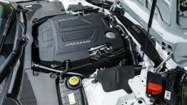 Jaguar F-Type AWD R Roadster (2016) - maska otwarta