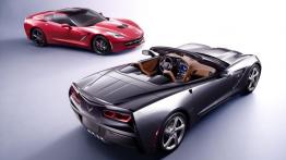 Chevrolet Corvette C7 Stingray Cabrio (2014) - widok z góry