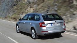 Skoda Octavia III Kombi 4x4 TSI (2013) - widok z tyłu