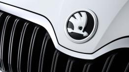Skoda Yeti Facelifting (2014) - logo