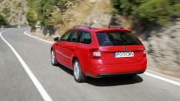 Skoda Octavia III Kombi 4x4 TDI (2013) - widok z tyłu
