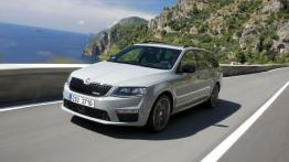 Skoda Octavia III RS Kombi 2.0 TDI (2013) - widok z przodu