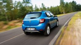 Dacia Sandero II Stepway - widok z tyłu