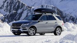 Mercedes ML 350 (W166) 4MATIC - lewy bok