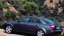 Audi A4 2001 - widok z tyłu