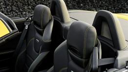 Mercedes SLK 55 AMG Streetfighter - widok ogólny wnętrza z przodu